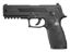 Sig Sauer ASP P320 Blowback Pellet Gun