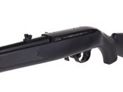 Umarex Ruger 10/22 CO2 Pellet Rifle